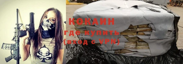 соль ск Алзамай