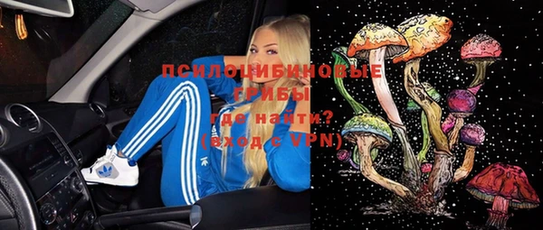 сатива Алексин