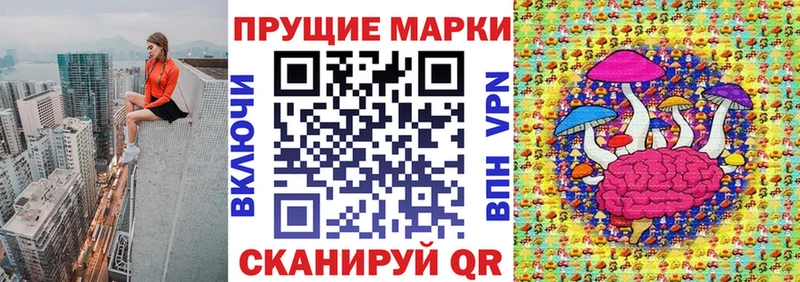 как найти закладки  Большой Камень  Марки N-bome 1500мкг 