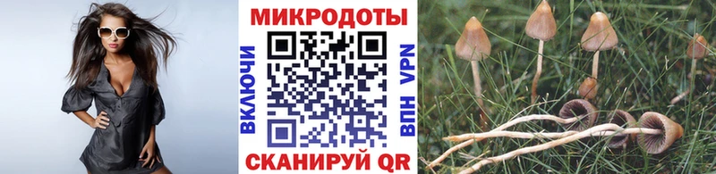 Галлюциногенные грибы GOLDEN TEACHER  где найти   omg зеркало  Большой Камень 